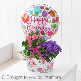 Happy Birthday Summer Planted Tin with Happy Birthday Balloon